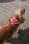 Carica l'immagine nel visualizzatore della galleria, Cane che indossa la bandana Roseline, con fiori magenta, in un ambiente urbano, ideale per aggiungere stile alle passeggiate quotidiane.
