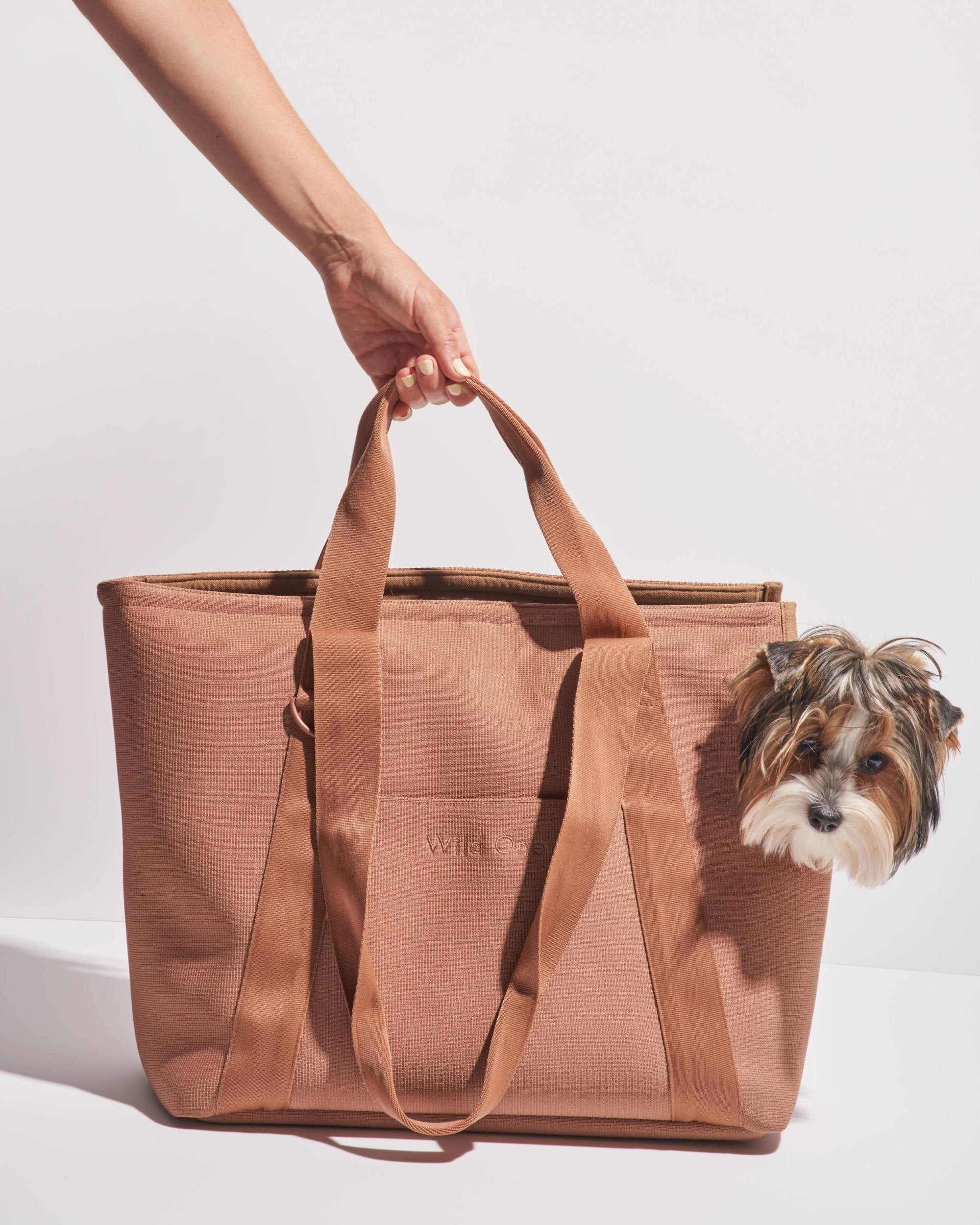 Borsa di trasporto elegante con un cane piccolo che sbuca dalla borsa, ideale per spostamenti comodi e stilosi.