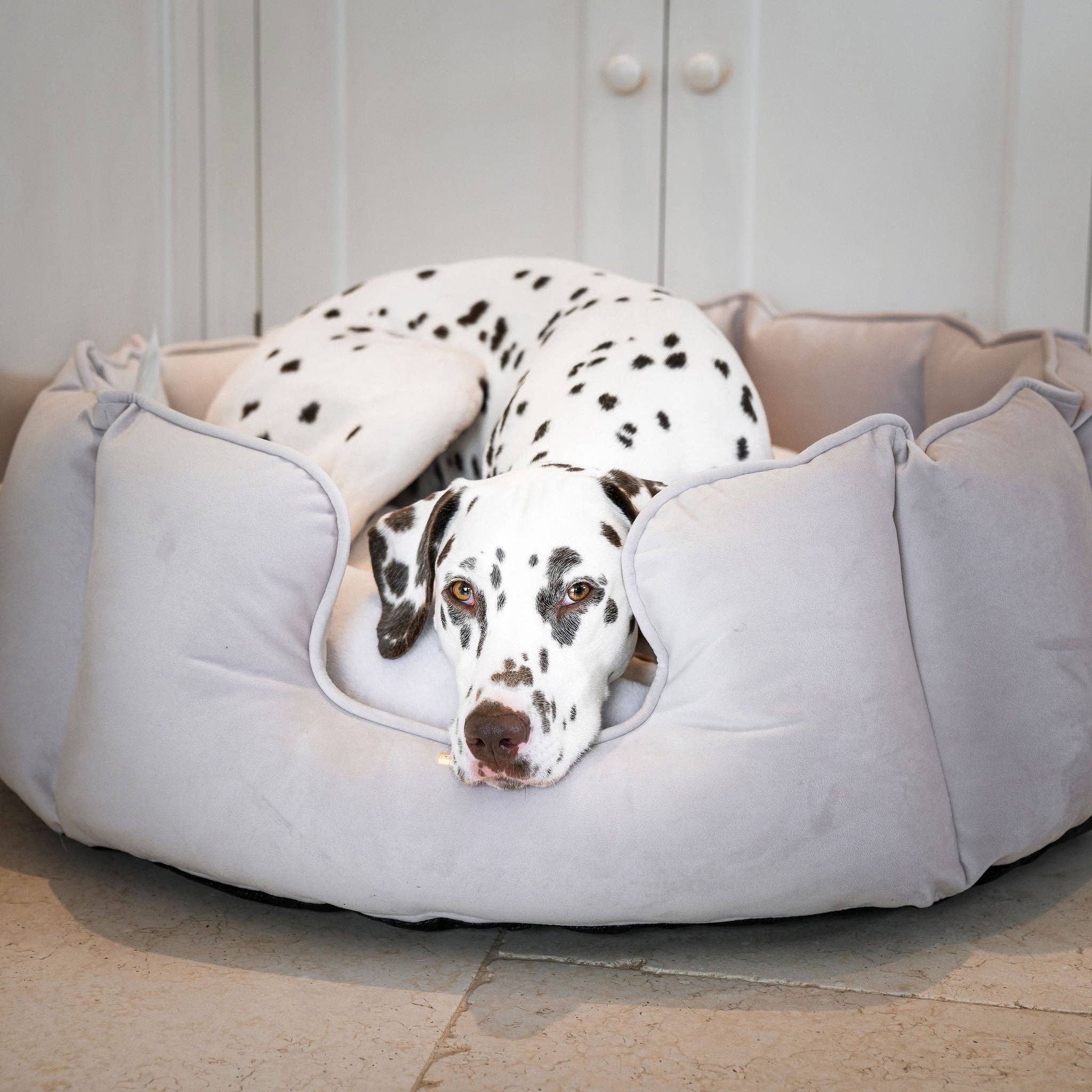 Cane che si distende tranquillamente su un letto per animali in una cucina moderna e luminosa.